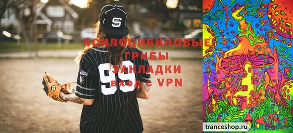 таблы Пересвет