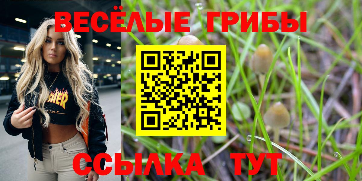 Галлюциногенные грибы Cubensis Великий Новгород