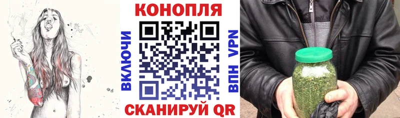 Бошки марихуана план купить закладку Великий Новгород